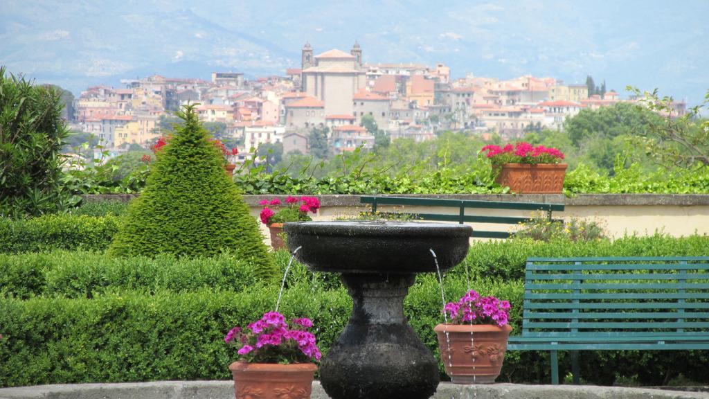Villa Tuscolana Frascati Exteriér fotografie